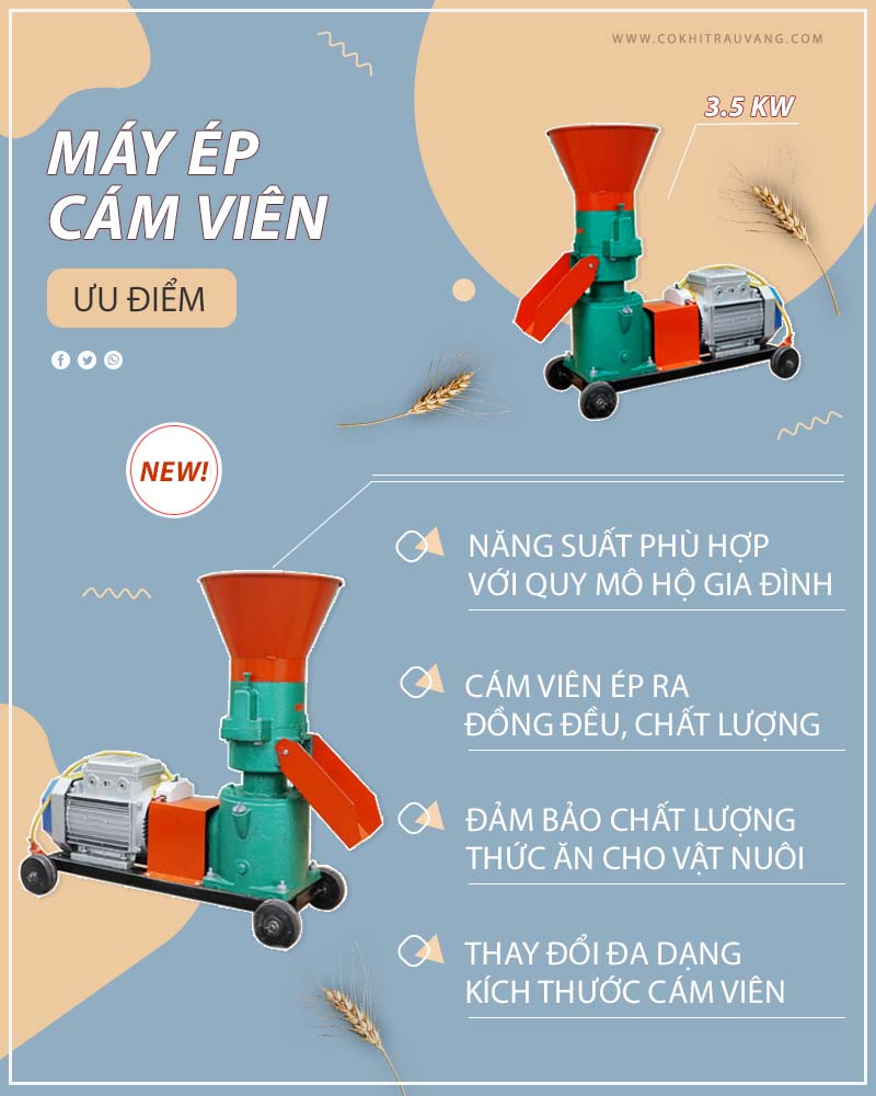 Ưu điểm