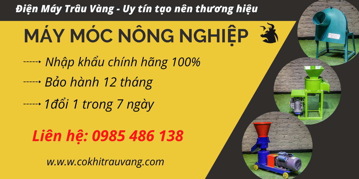 điện máy trâu vàng