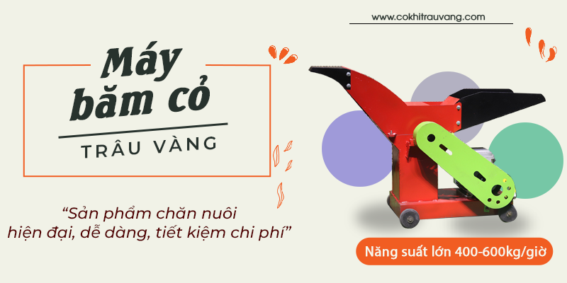 máy băm thái cỏ cho bò