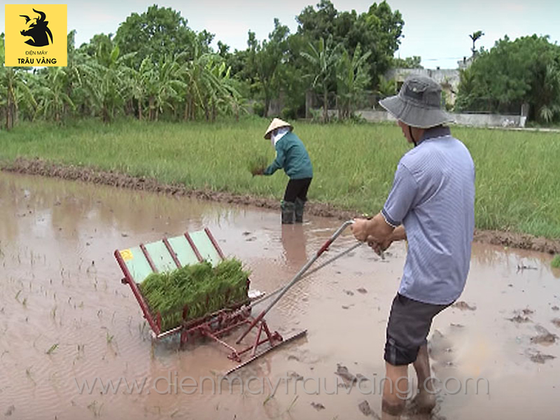 cấu tạo của máy cấy lúa