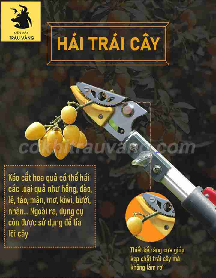 lưỡi kéo cắt cành