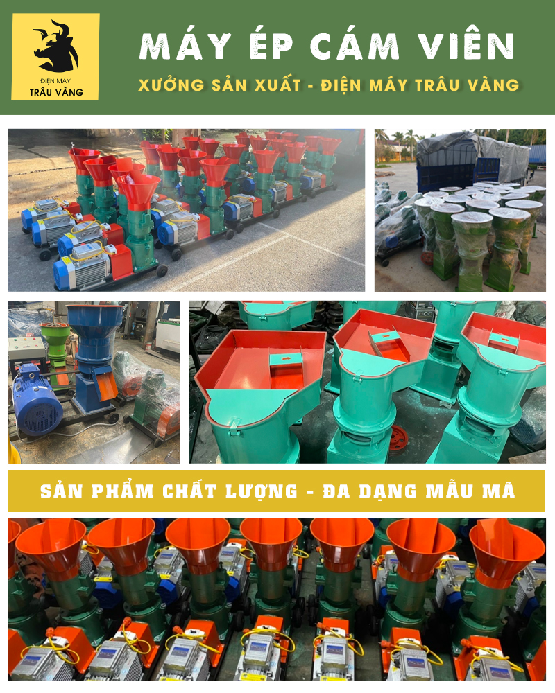 quy mô nhà xưởng