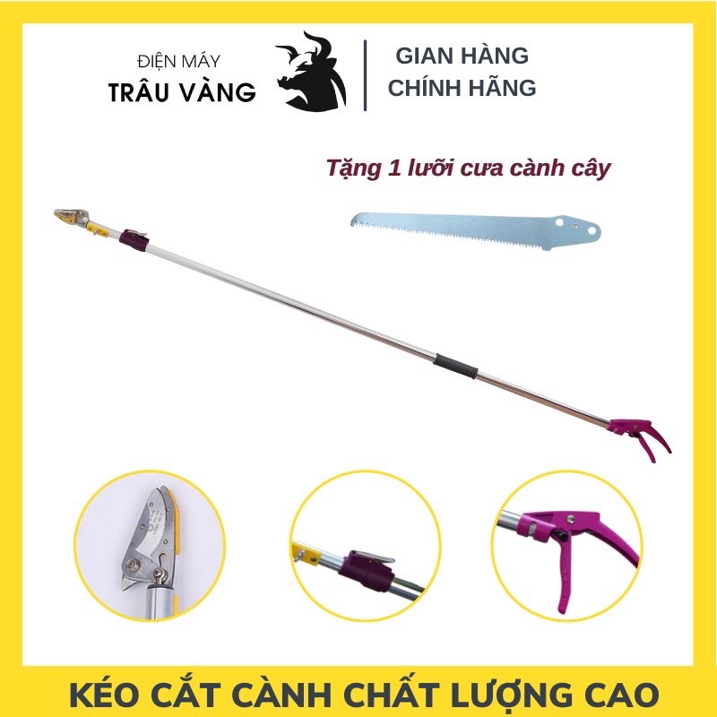 Kéo cắt cành trên cao cán tím