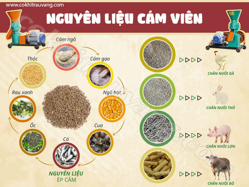 Lỗi thường gặp ở máy ép cám viên