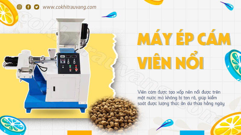 Máy ép cám viên nổi