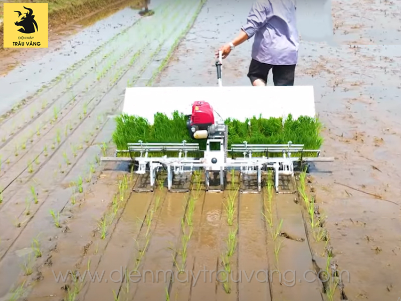 Bảng giá máy cấy lúa Văn Lang