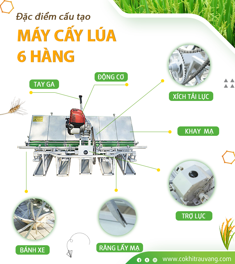 máy cấy lúa 6 hàng