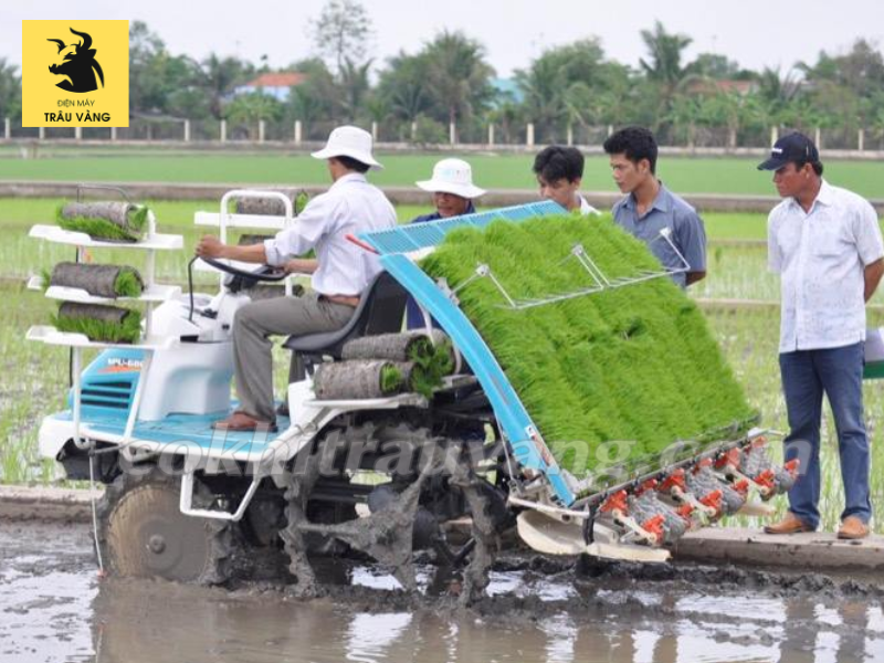 giá máy cấy lúa kéo tay