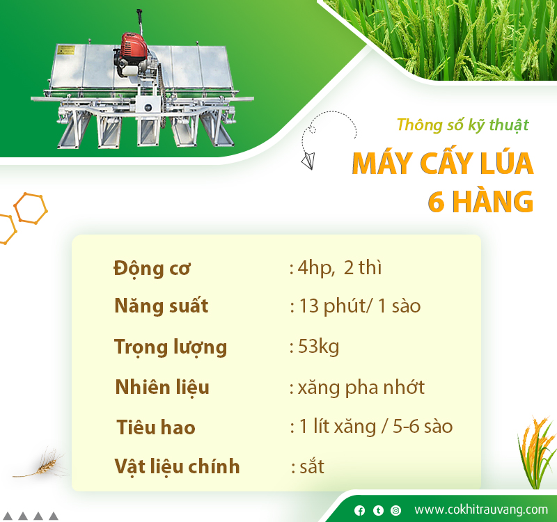 máy cấy lúa trên ruộng