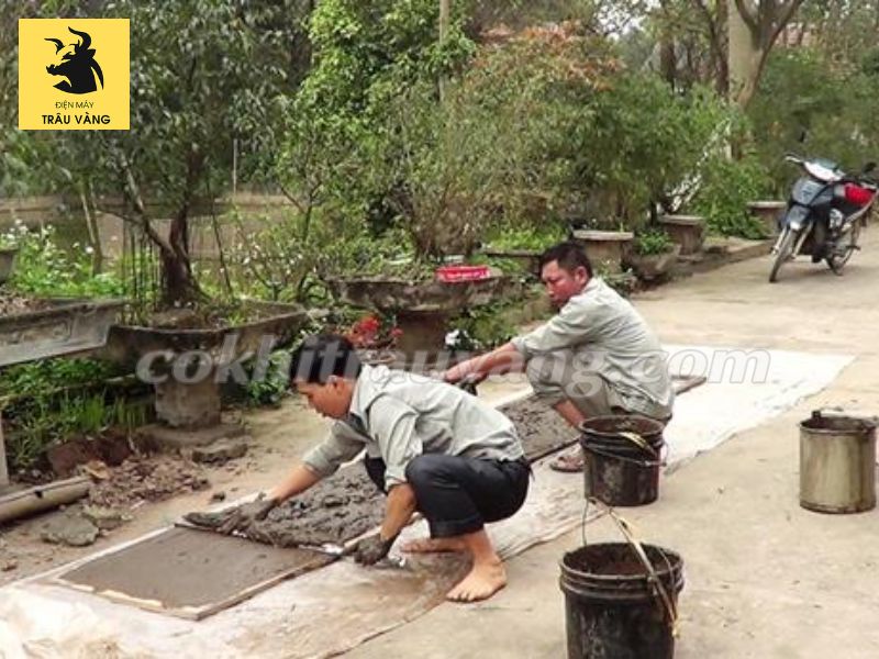 cách gieo mạ máy cấy Văn Lang