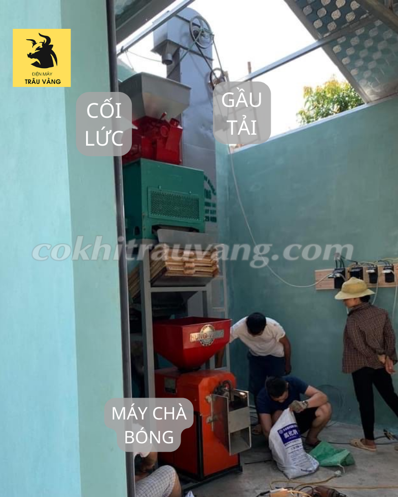 Dây chuyền máy xay xát lúa gạo