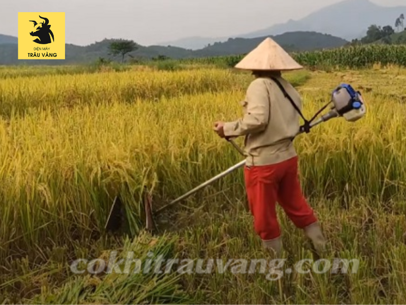 Máy gặt lúa bao nhiêu tiền