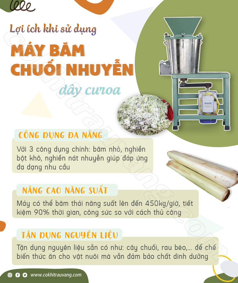 máy xay chuối cây