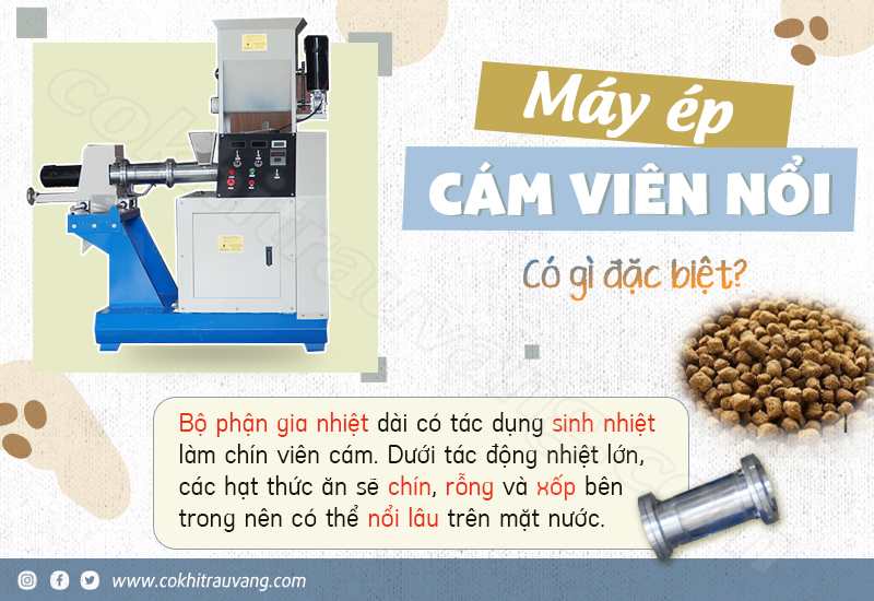 Máy ép cám viên nổi