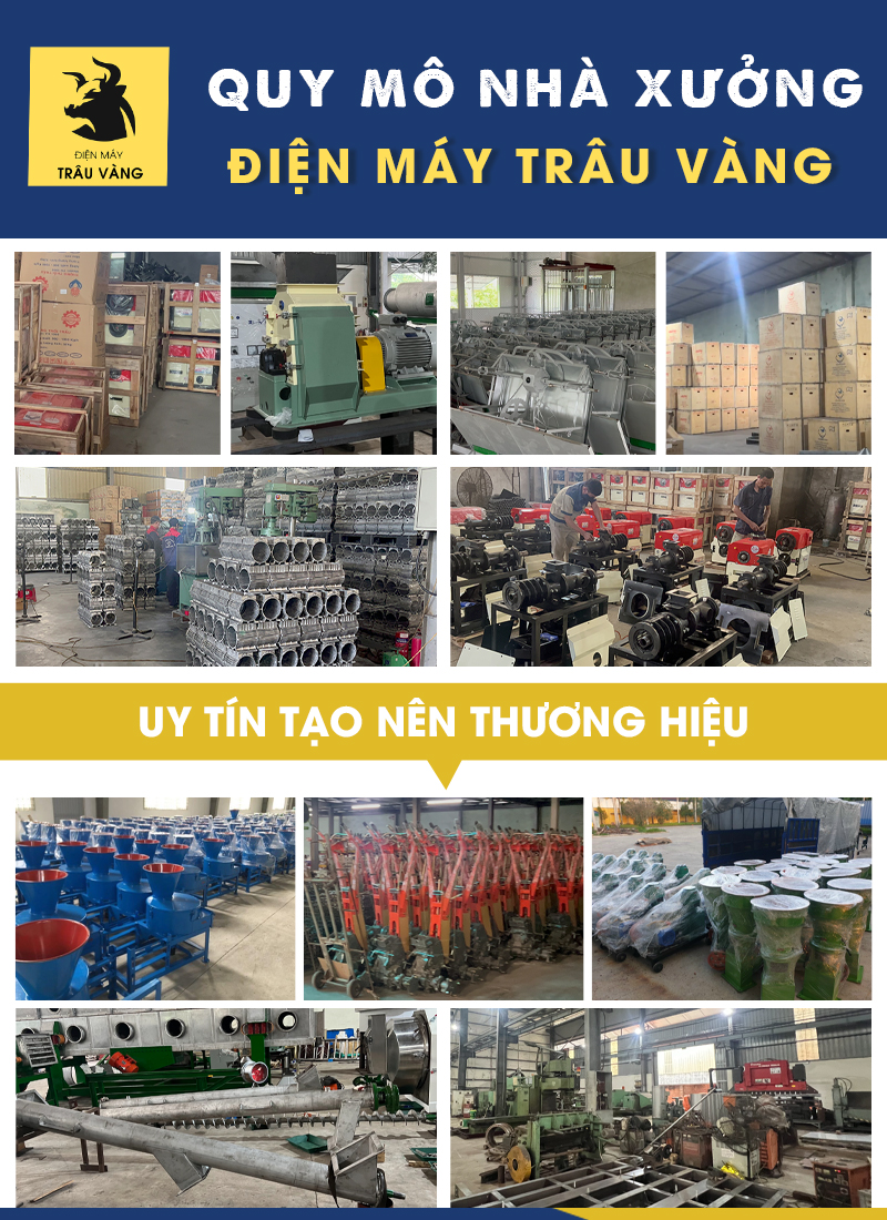  ĐIỆN MÁY TRÂU VÀNG