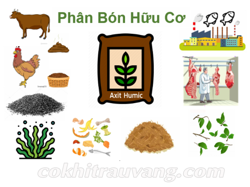 cách ủ phân hữu cơ