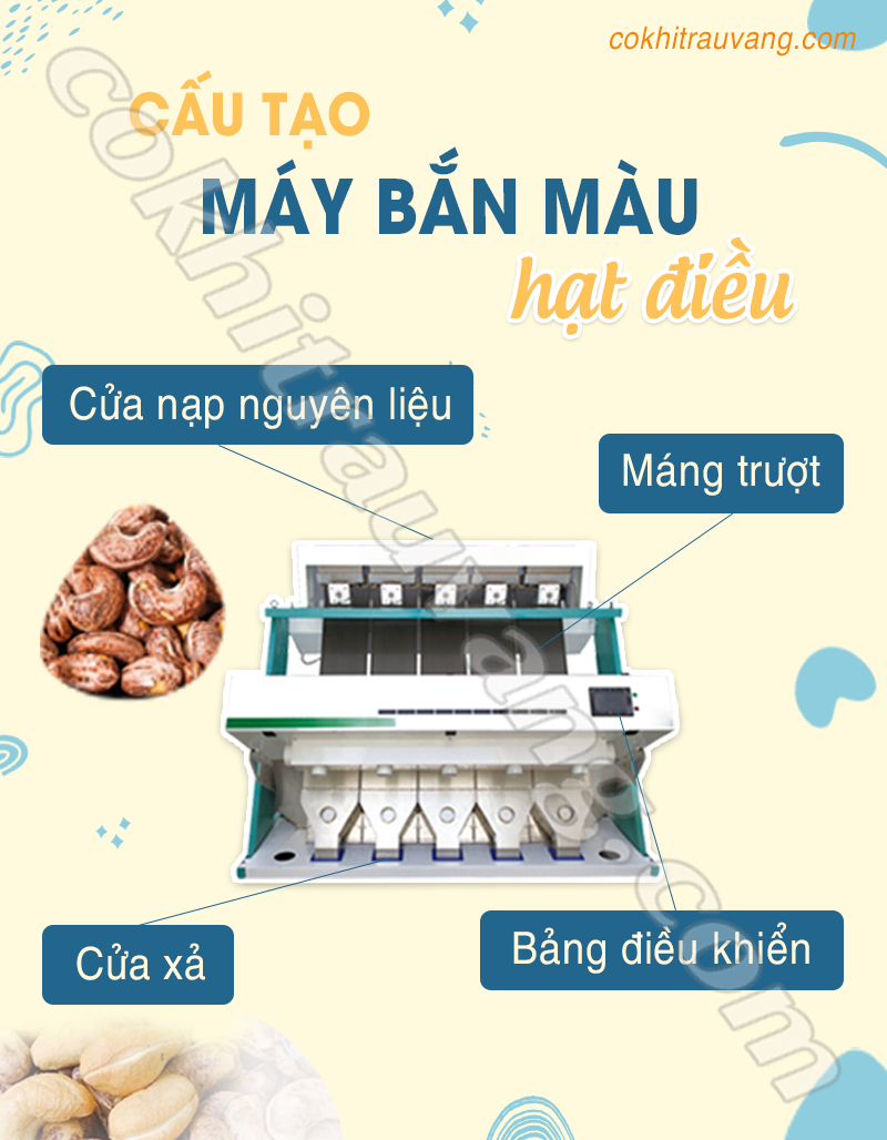 Máy bắn màu hạt điều