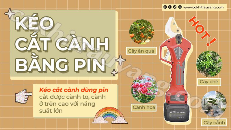 máy cắt cành dùng pin 