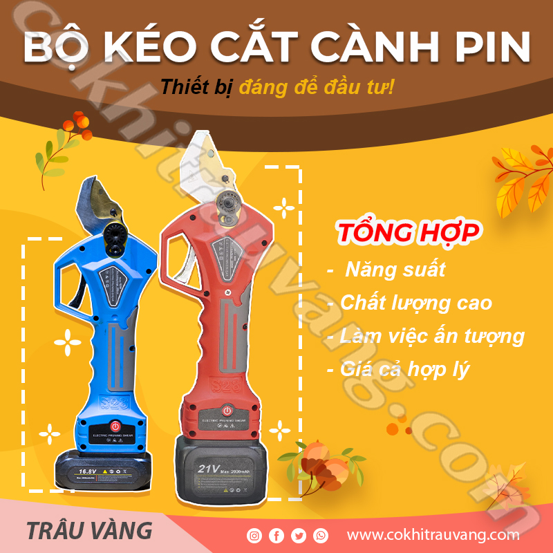 Thiết bị cắt tỉa cành trên cao