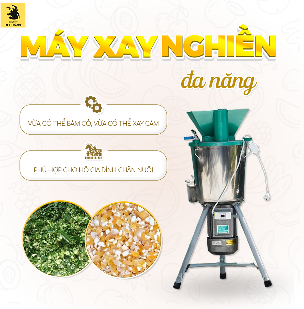 máy xay nghiền đa năng